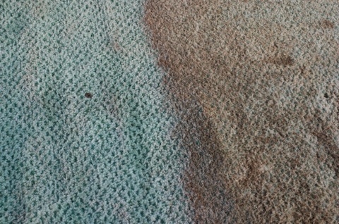 CarpetBefore&After